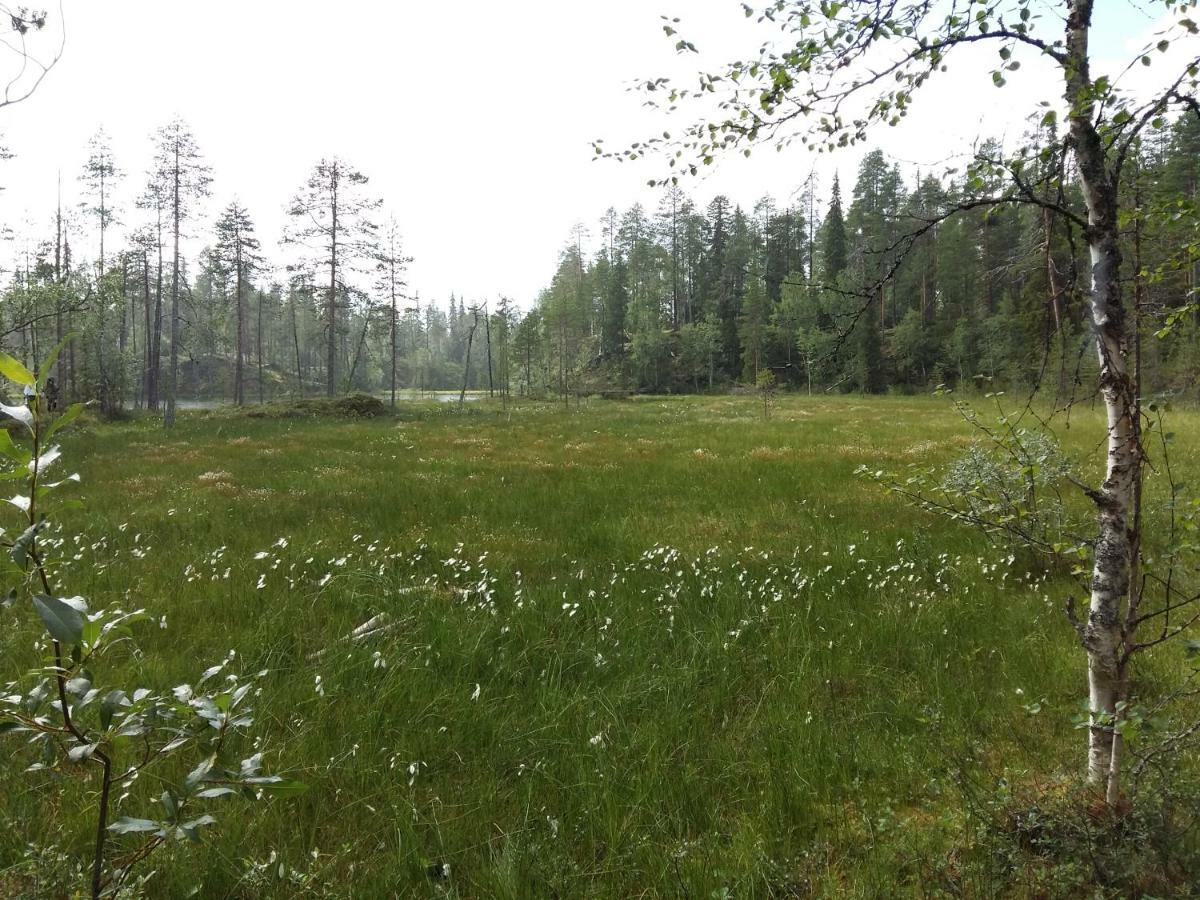Salmikankaankelo C4 Ruka Exterior foto